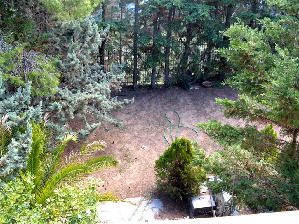 Дом в Аттике, Греция, 225 м² - фото 9