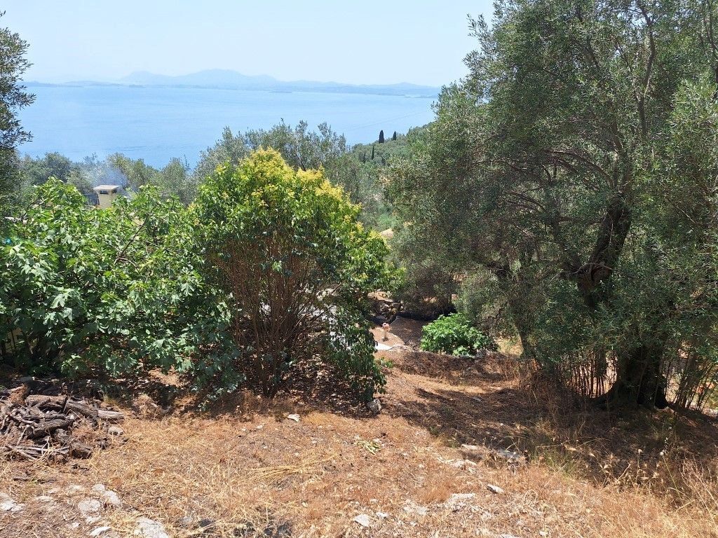 Земля на Корфу, Греция, 6 000 м² - фото 9