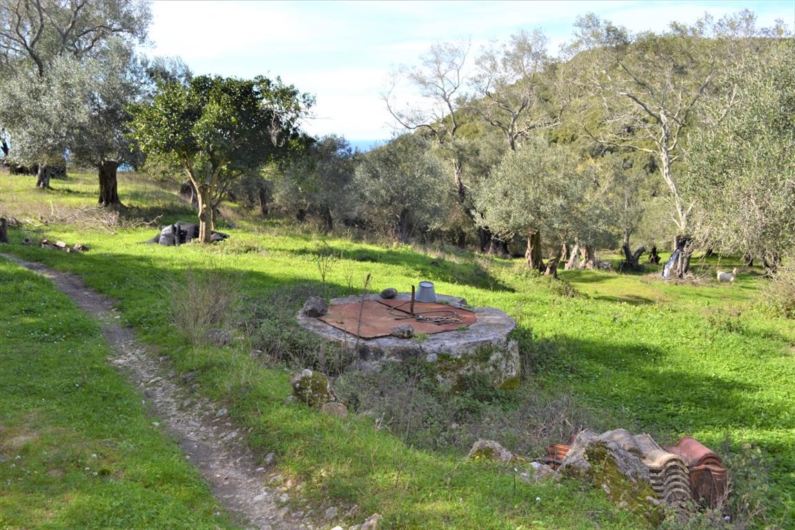 Земля на Корфу, Греция, 70 000 м² - фото 9