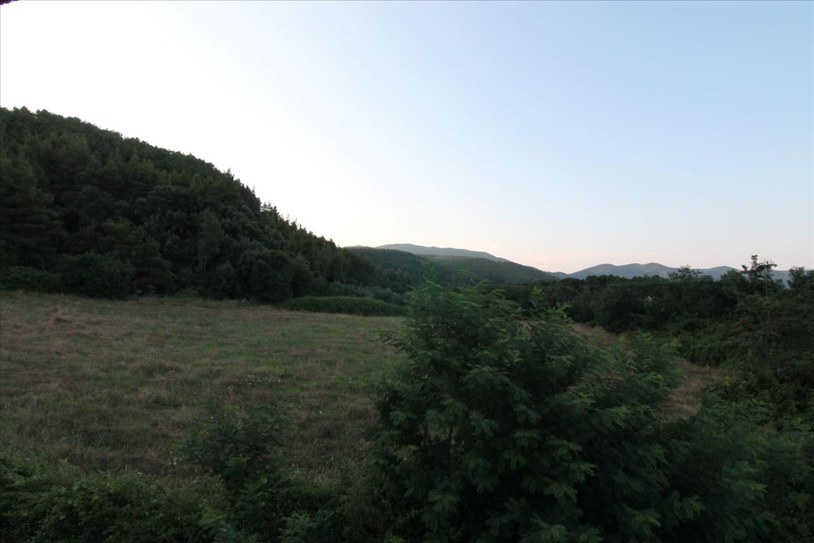 Дом на Халкидиках, Греция, 210 м² - фото 9