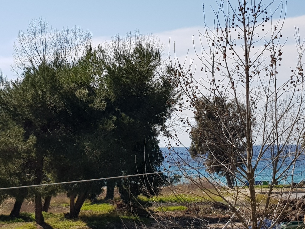 Мезонет на Кассандре, Греция, 60 м² - фото 9