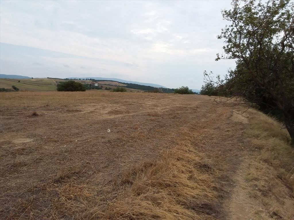 Земля на Халкидиках, Греция, 13 000 м² - фото 9