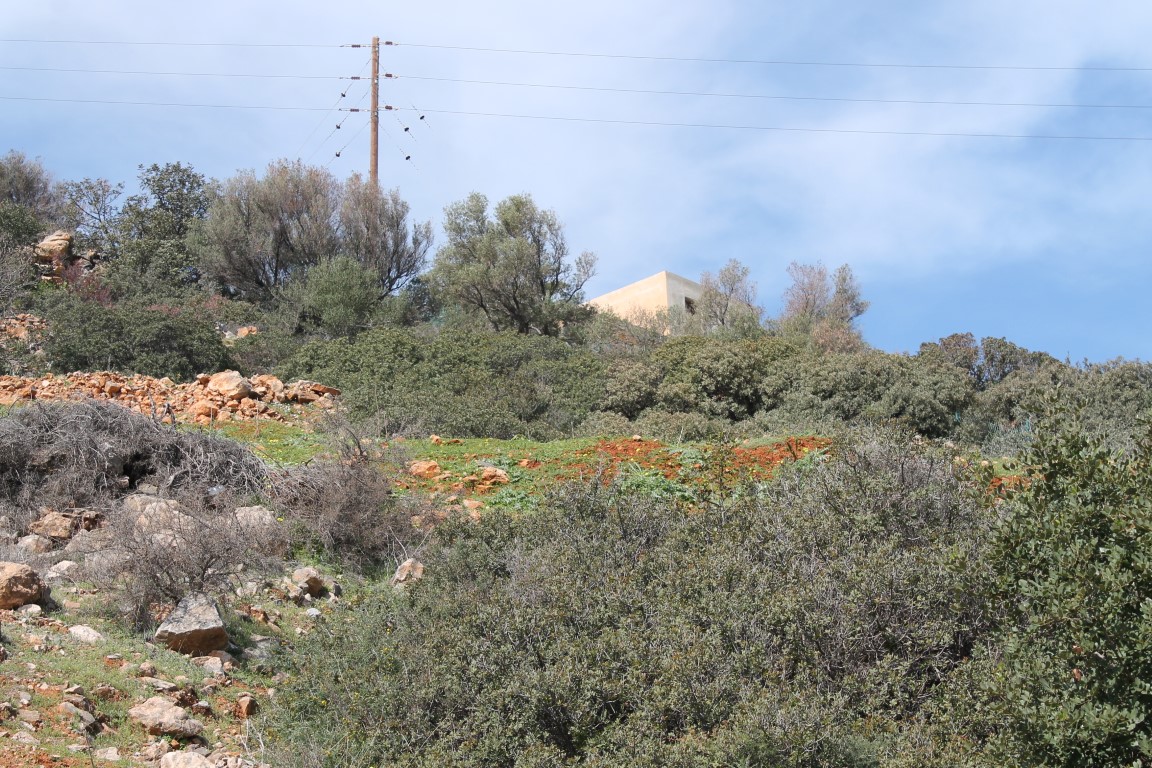 Земля в Ираклионе, Греция, 1 770 м² - фото 9