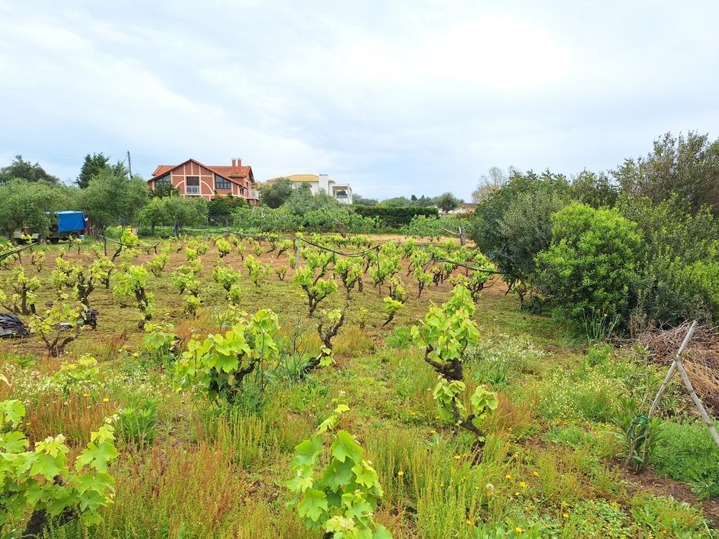 Земля на Корфу, Греция, 4 444 м² - фото 9