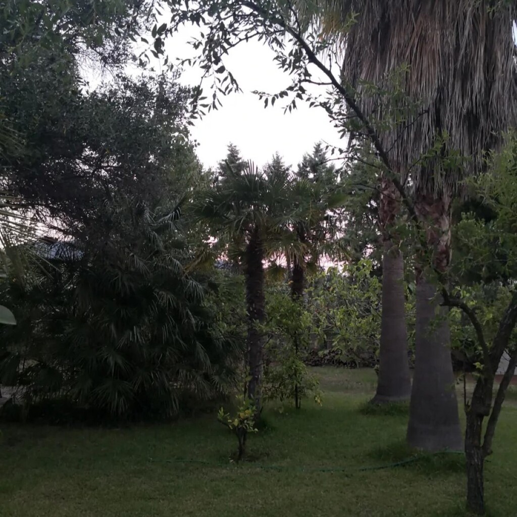 Вилла в Ситонии, Греция, 175 м² - фото 9