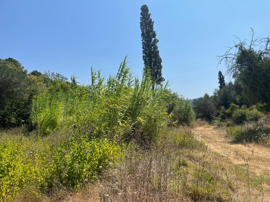 Земля на Корфу, Греция, 11 450 м² - фото 9