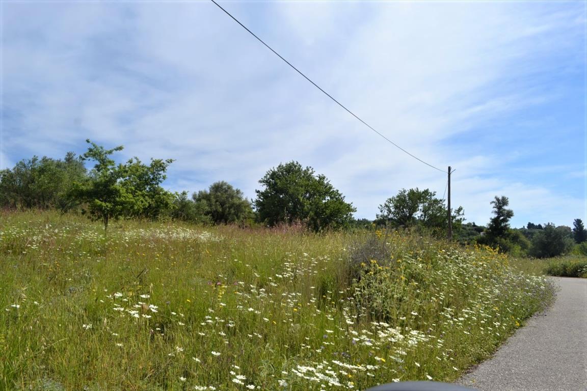 Земля на Корфу, Греция, 12 044 м² - фото 9