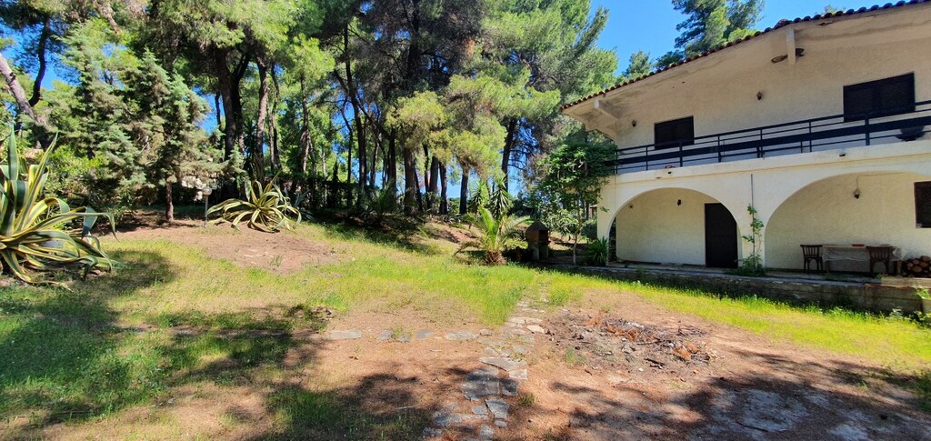 Вилла на Кассандре, Греция, 440 м² - фото 9