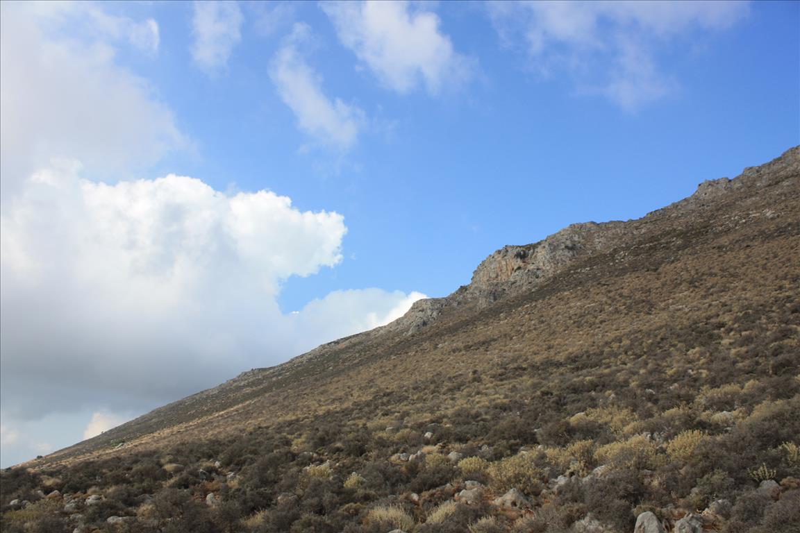 Земля в Ираклионе, Греция, 25 000 м² - фото 9