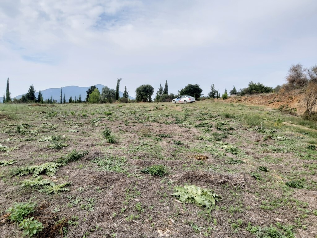 Земля на Корфу, Греция, 7 421 м² - фото 9