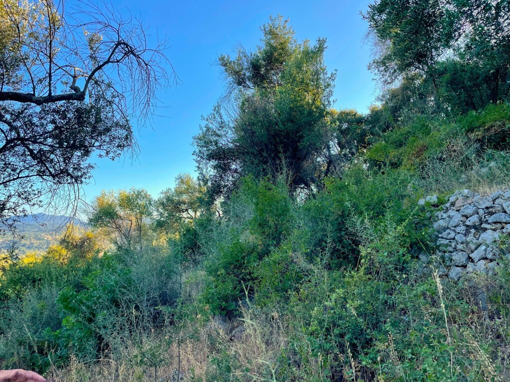 Земля на Корфу, Греция, 4 982 м² - фото 9