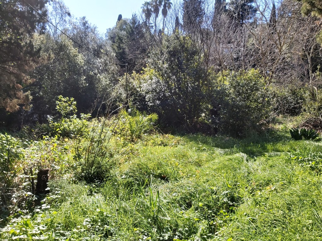 Земля на Корфу, Греция, 2 770 м² - фото 9