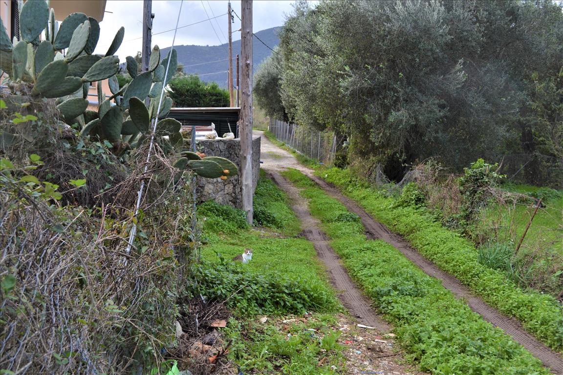 Земля на Корфу, Греция, 10 000 м² - фото 9