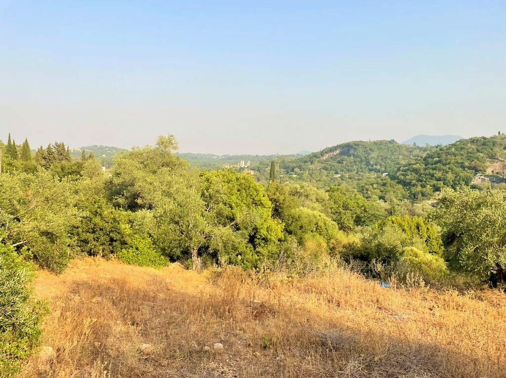 Земля на Корфу, Греция, 21 000 м² - фото 9