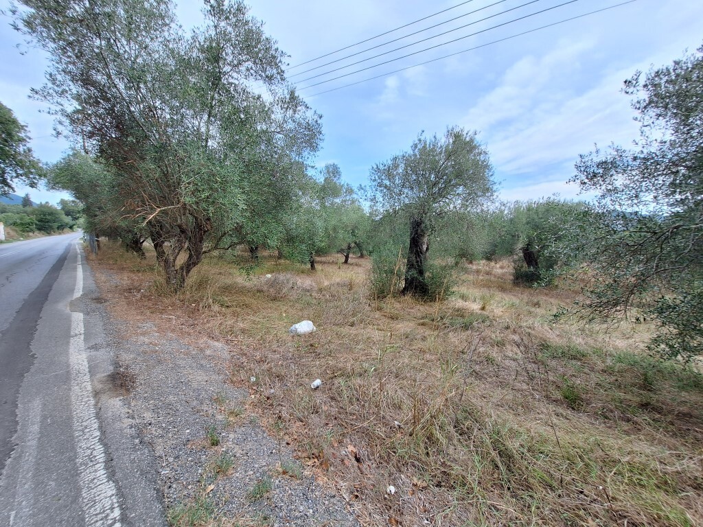 Земля на Корфу, Греция, 5 500 м² - фото 9