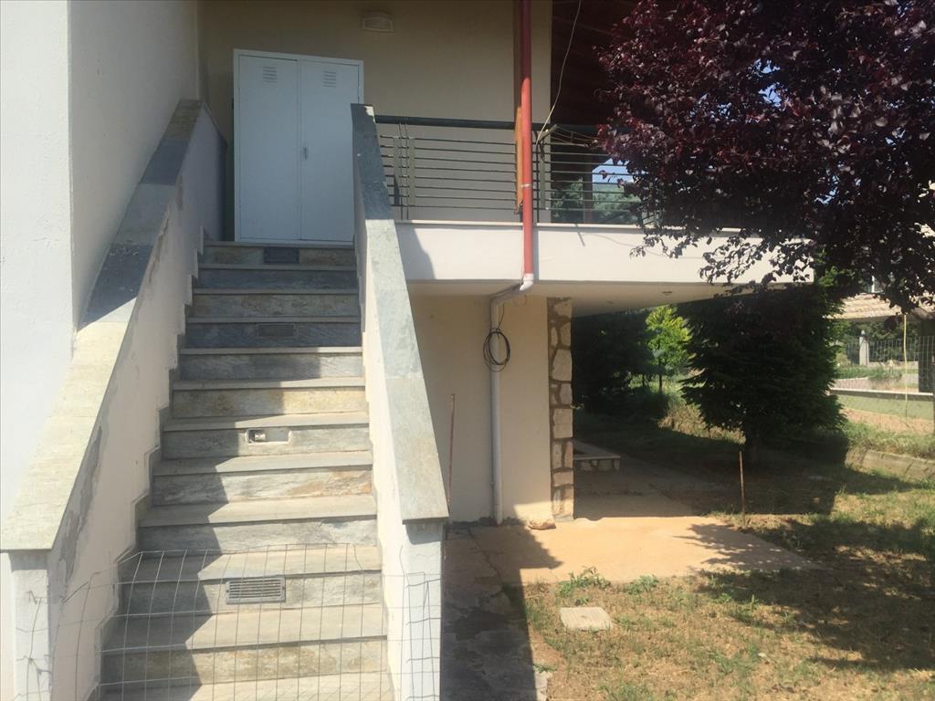 Дом на Халкидиках, Греция, 180 м² - фото 9