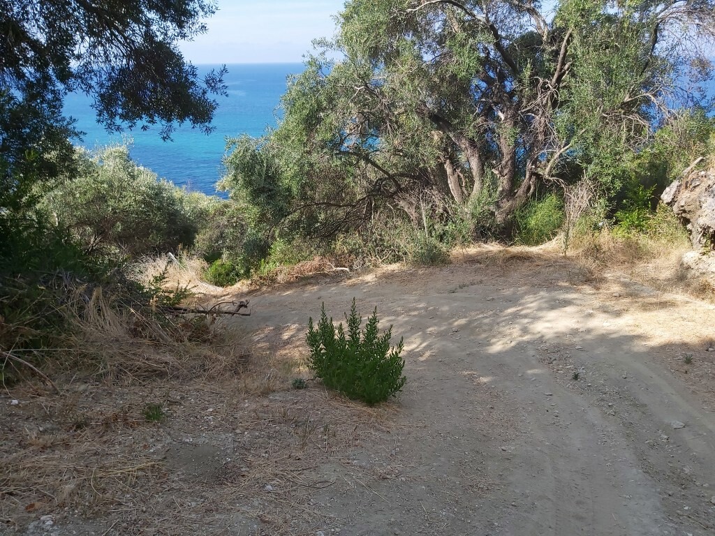 Земля на Корфу, Греция, 8 600 м² - фото 9