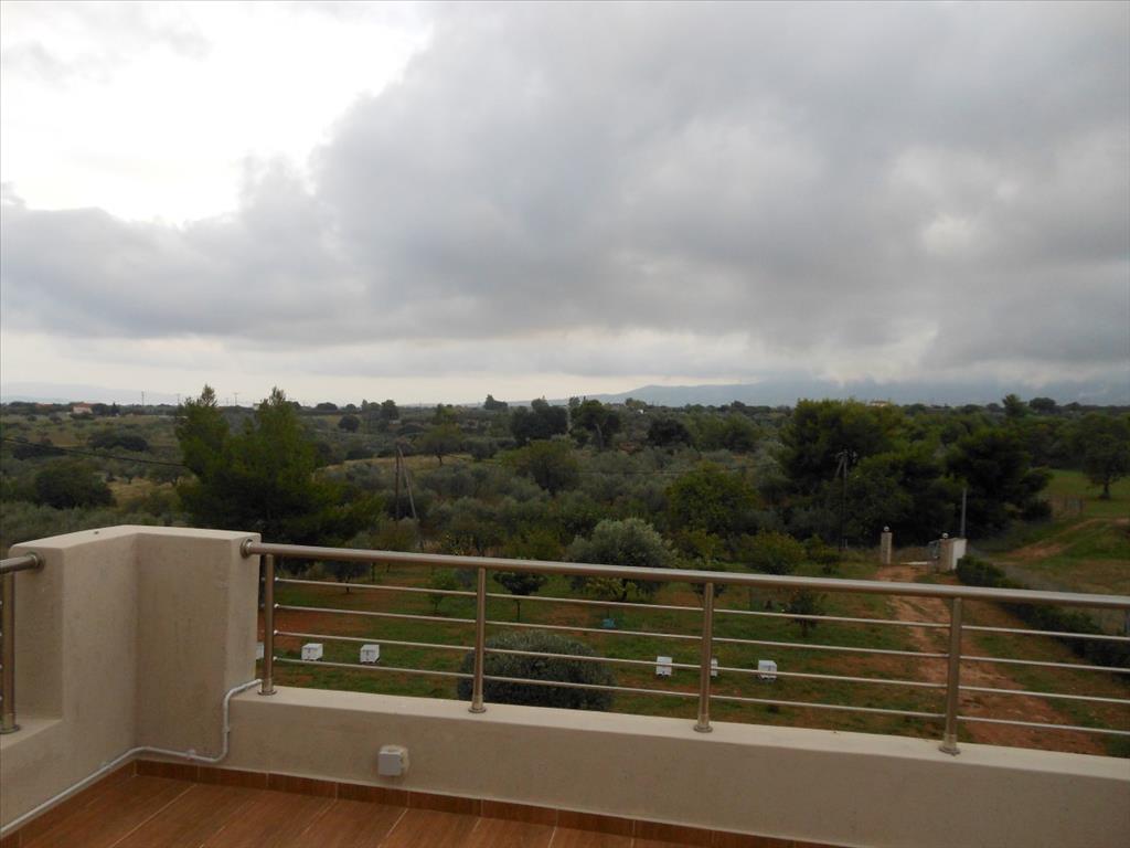 Дом в Аттике, Греция, 230 м² - фото 10