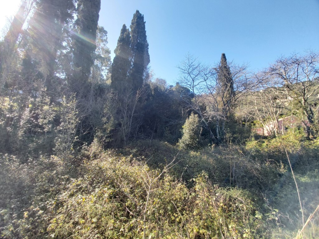 Земля на Корфу, Греция, 2 770 м² - фото 10