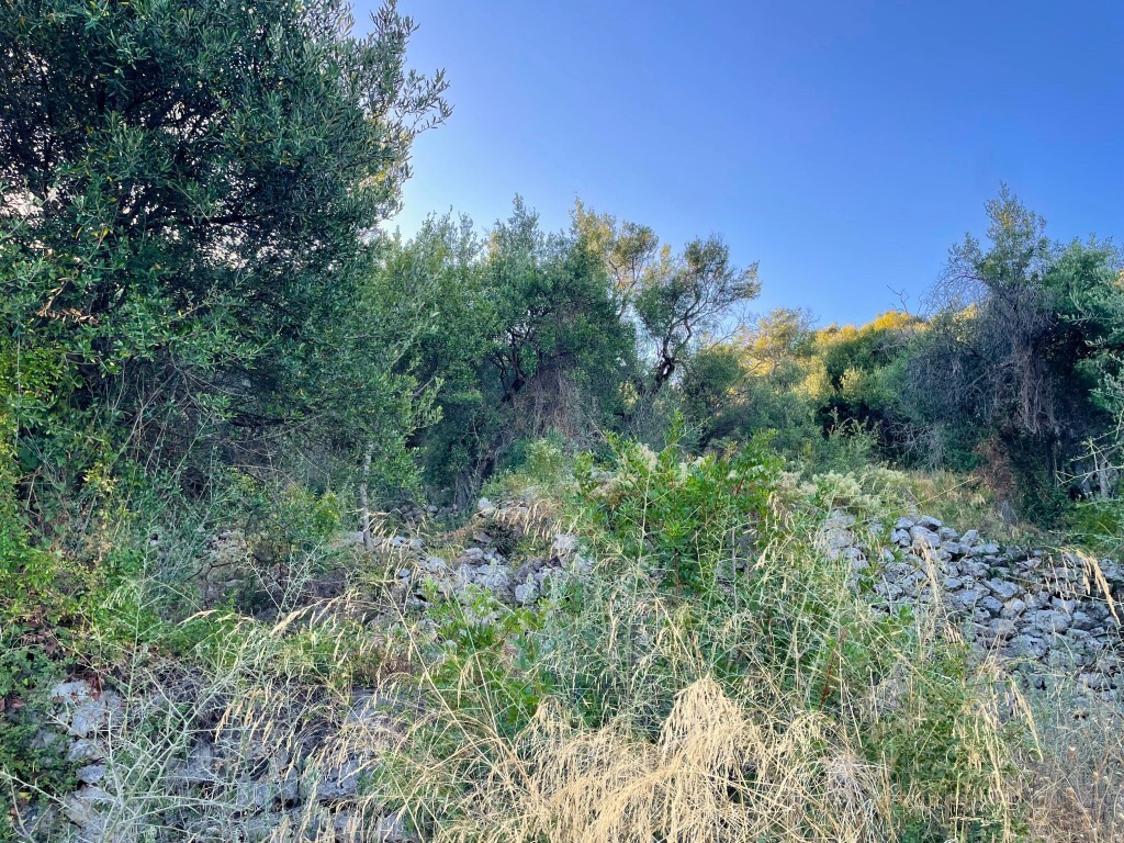 Земля на Корфу, Греция, 4 982 м² - фото 10