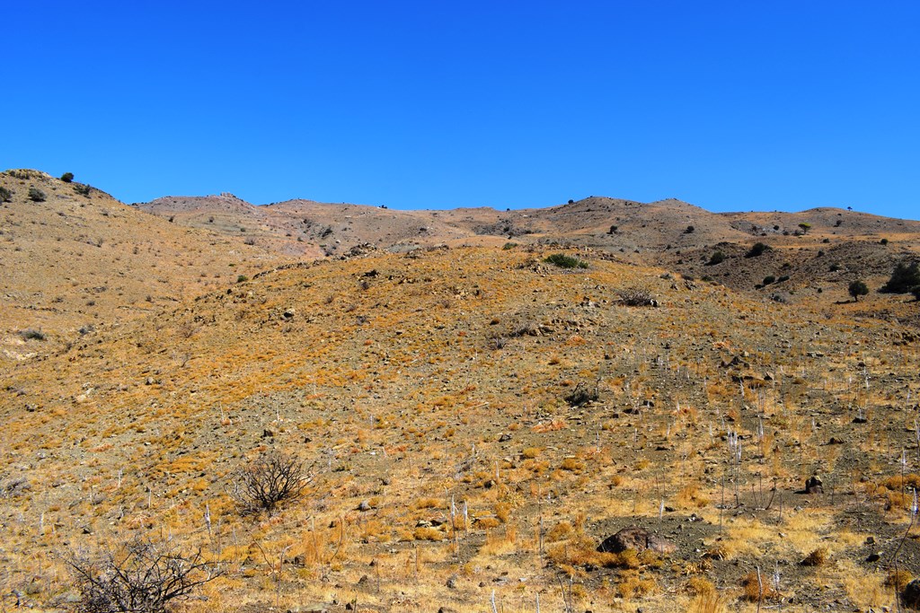 Земля в Ираклионе, Греция, 12 000 м² - фото 10