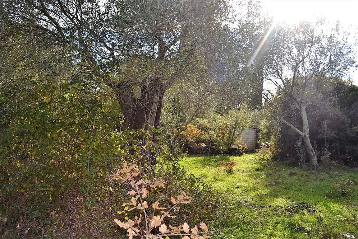 Земля на Корфу, Греция, 20 000 м² - фото 10