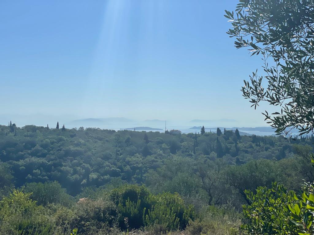 Земля на Корфу, Греция, 2 569 м² - фото 10