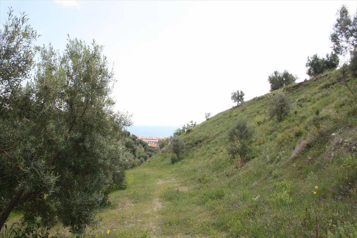 Земля на Кассандре, Греция, 23 000 м² - фото 10