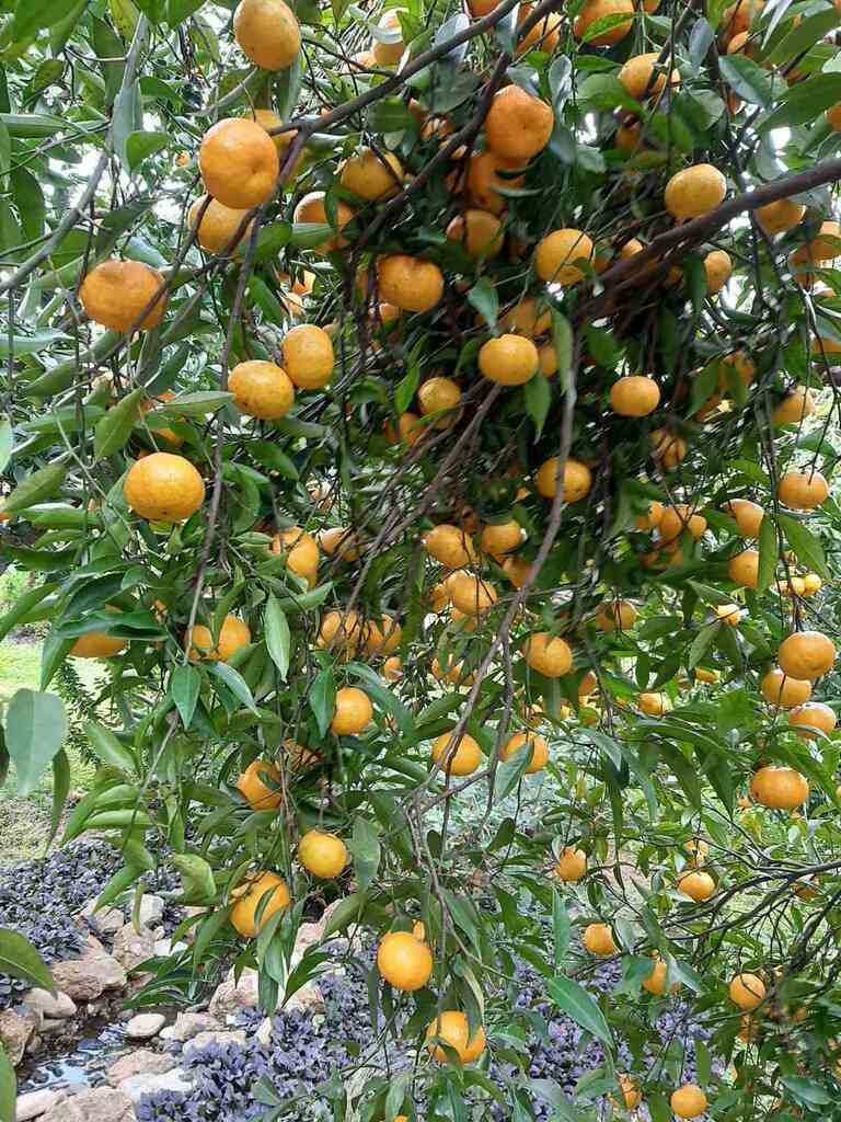 Дом в Аттике, Греция, 275 м² - фото 10