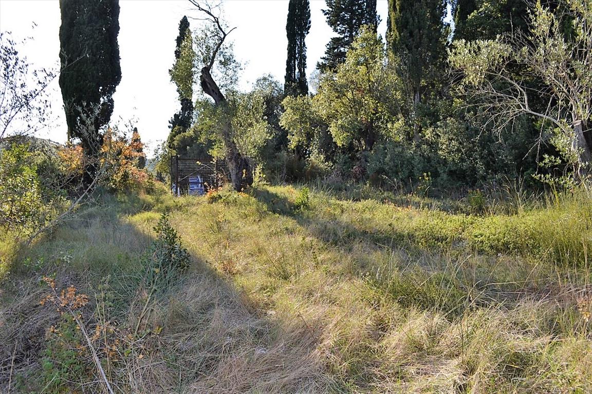 Земля на Корфу, Греция, 8 000 м² - фото 10