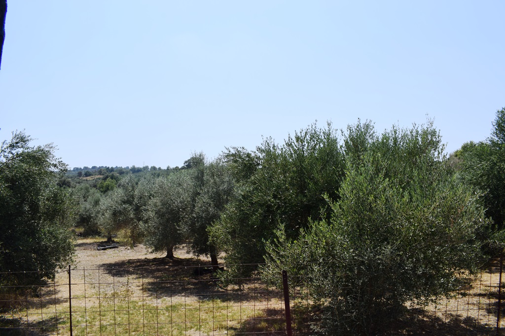 Земля в Ираклионе, Греция, 11 500 м² - фото 10