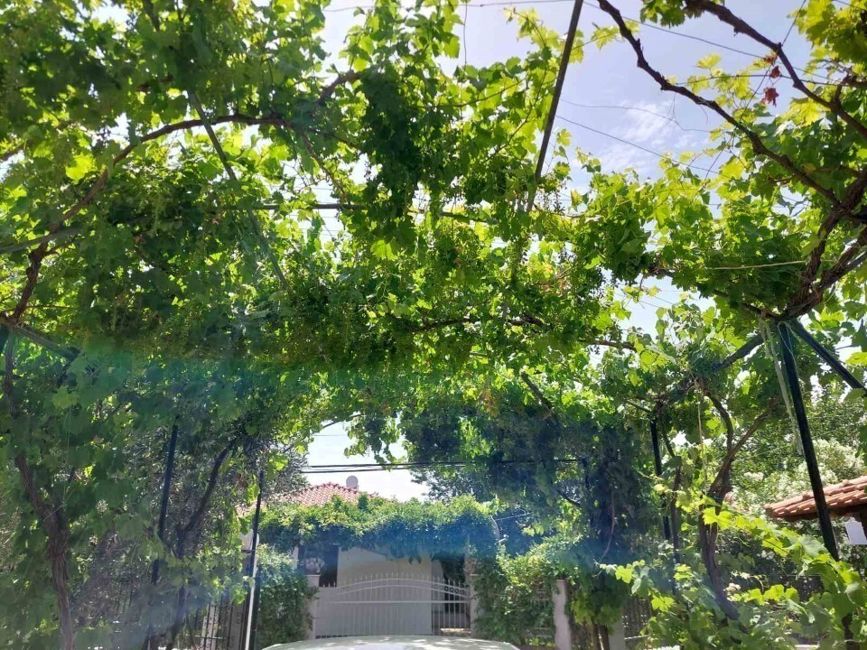 Дом в Ситонии, Греция, 85 м² - фото 10