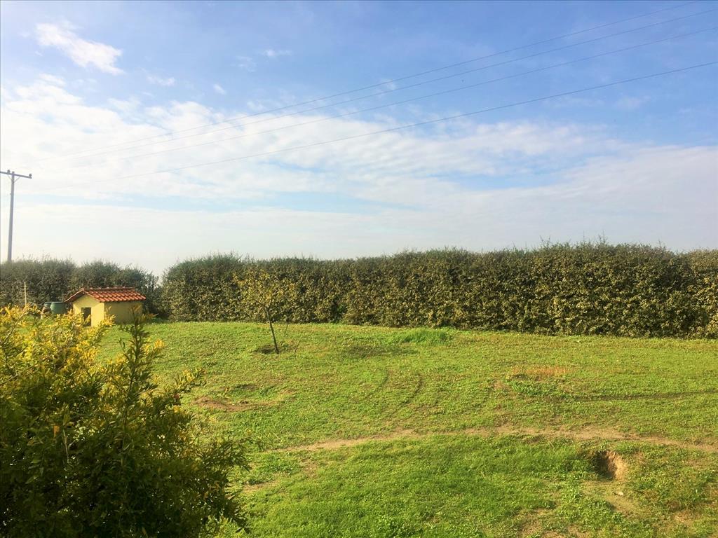 Дом в Салониках, Греция, 167 м² - фото 10