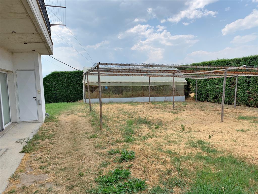 Дом в Олимпиаки-Акти, Греция, 519 м² - фото 10