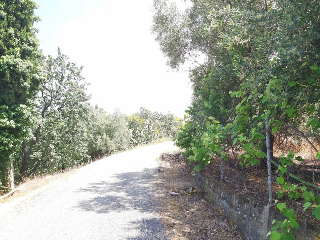 Земля на Корфу, Греция, 7 200 м² - фото 10