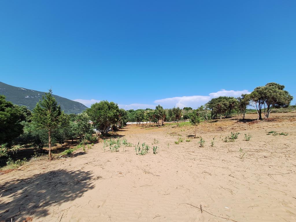 Земля на Корфу, Греция, 17 439 м² - фото 10