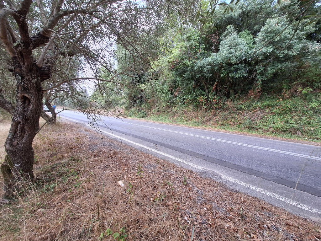 Земля на Корфу, Греция, 5 500 м² - фото 10