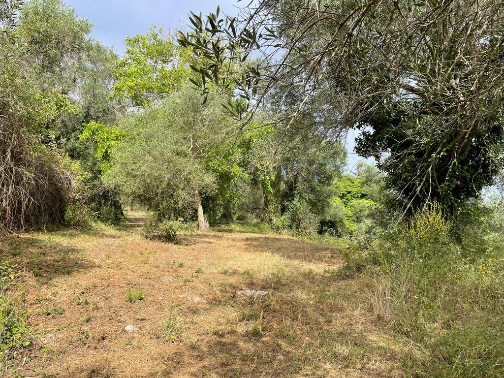 Земля на Корфу, Греция, 5 020 м² - фото 10