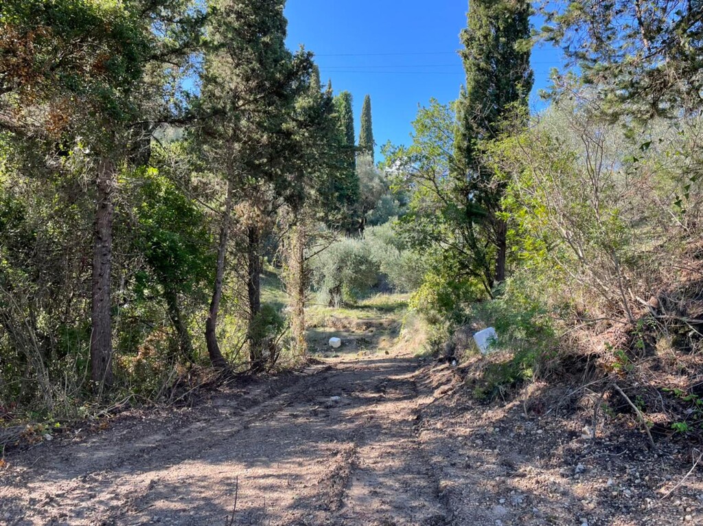 Земля на Корфу, Греция, 4 100 м² - фото 10