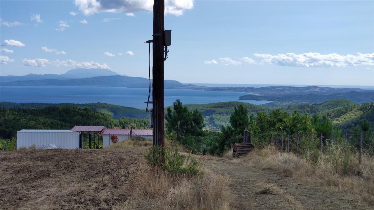 Земля на Халкидиках, Греция, 50 000 м² - фото 10