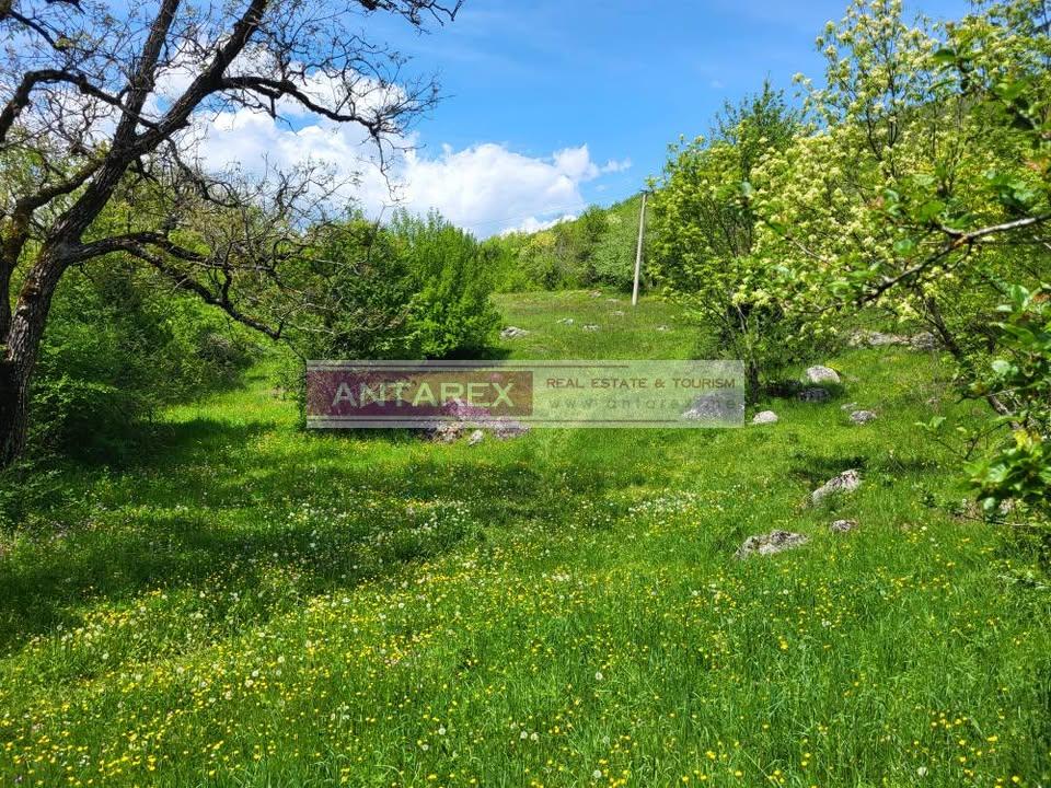 Земля в Никшиче, Черногория, 159 000 м² - фото 4