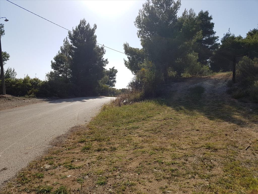 Земля в Ситонии, Греция, 6 500 м² - фото 10