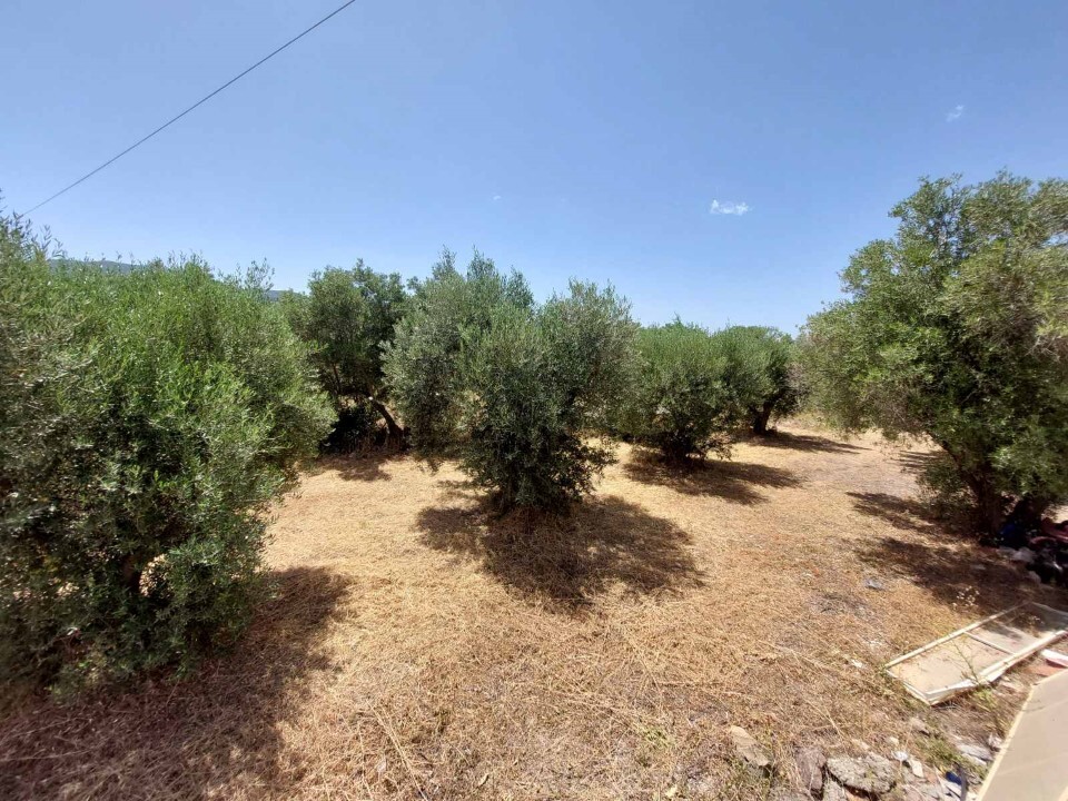 Земля в Ситонии, Греция, 7 000 м² - фото 10