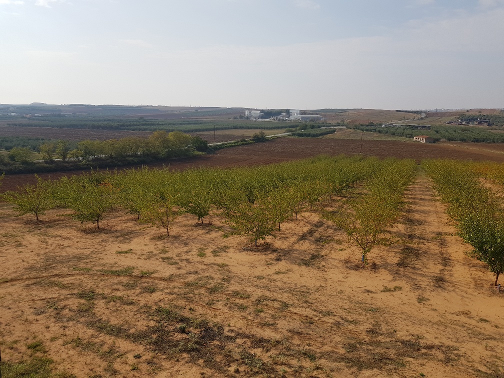 Дом на Халкидиках, Греция, 400 м² - фото 10