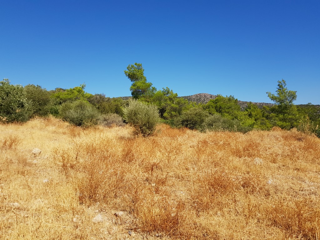 Земля в Ираклионе, Греция, 4 166 м² - фото 10