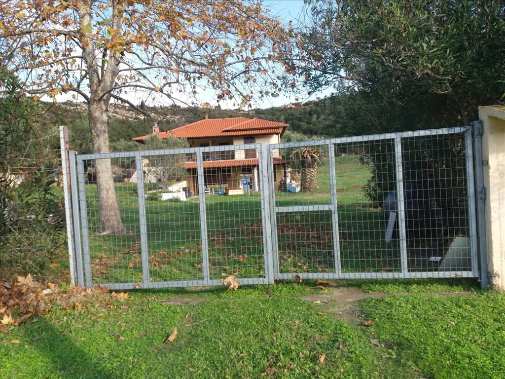 Дом в Ситонии, Греция, 220 м² - фото 10