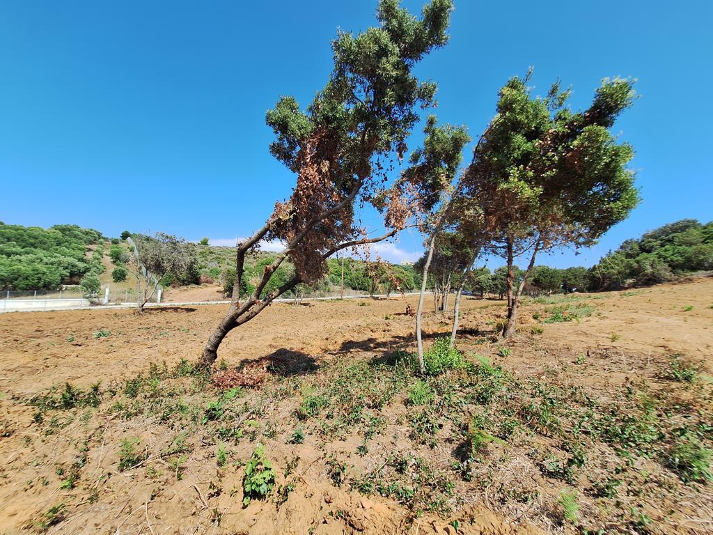 Земля на Корфу, Греция, 5 064 м² - фото 10