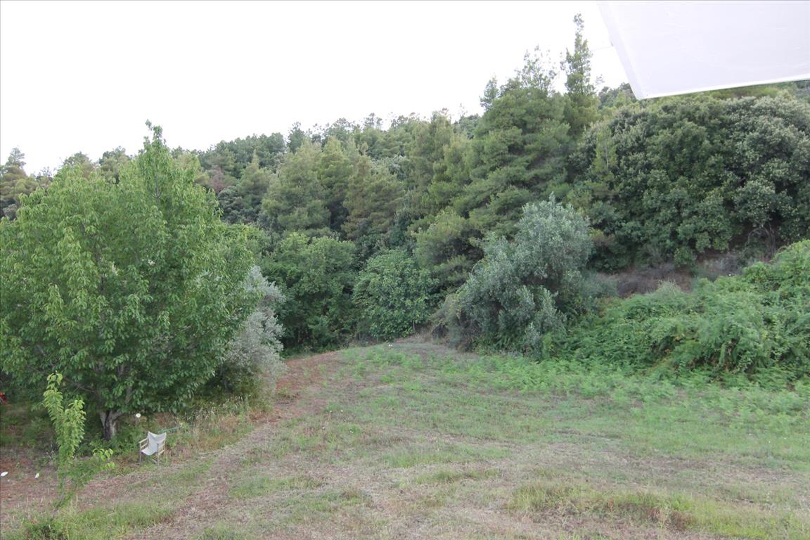 Дом на Халкидиках, Греция, 210 м² - фото 10