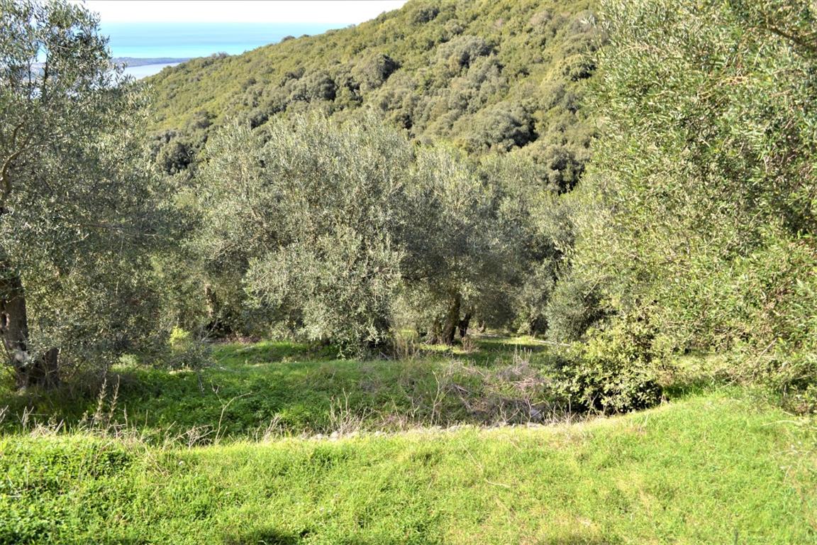 Земля на Корфу, Греция, 6 000 м² - фото 10