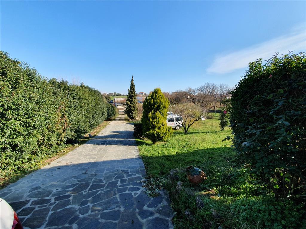 Дом на Кассандре, Греция, 335 м² - фото 10